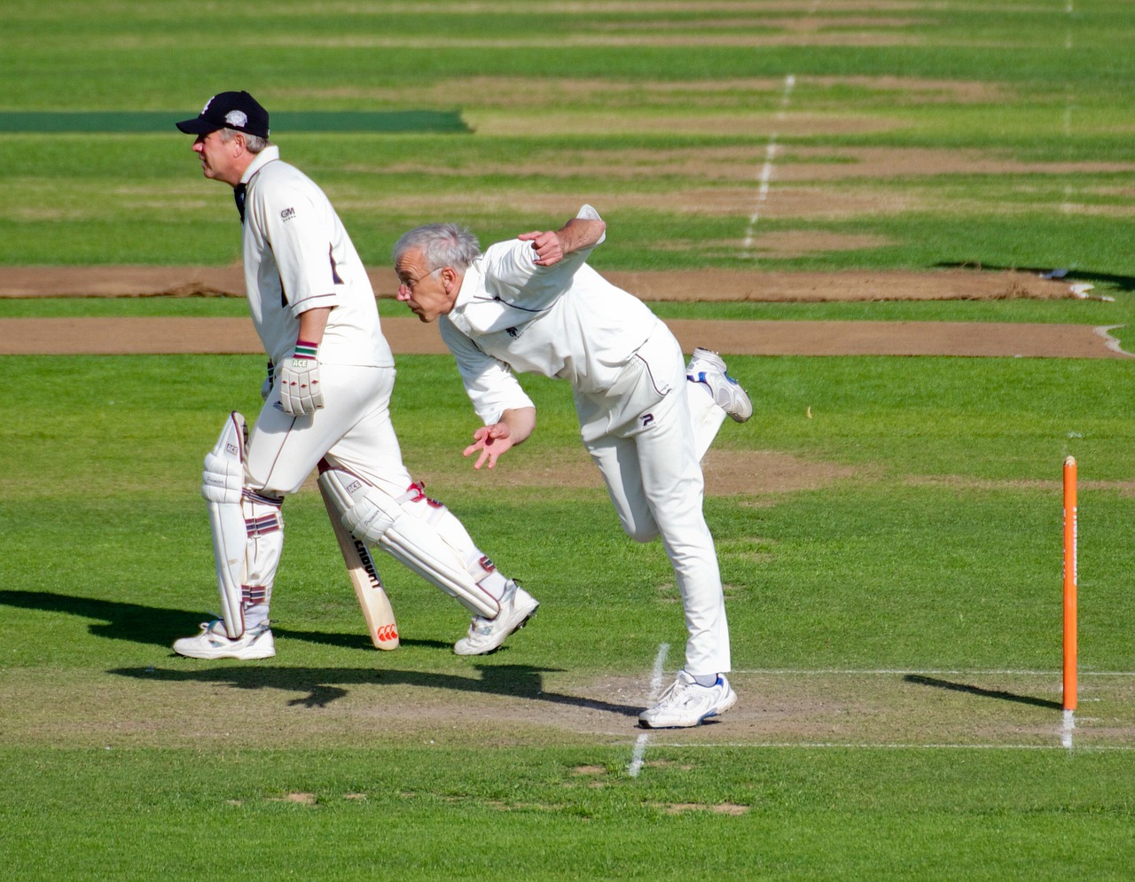 Still there are old man playing cricket